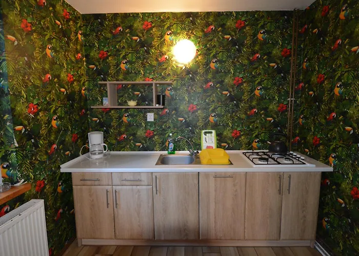 Domyletnie Dom 100m2 Z Wlasna Dzialka *